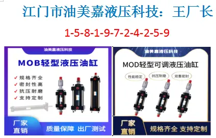 高频活塞杆液压缸卷板机油缸双出轴HOB重型油缸 - 3