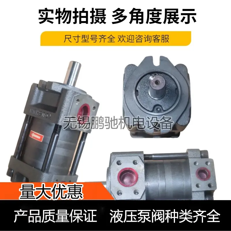 齿轮泵NBZ5 NT4剪板机折弯机注塑机 弯管机压砖机油泵NB3 - 3