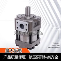 齿轮泵NBZ5 NT4剪板机折弯机注塑机