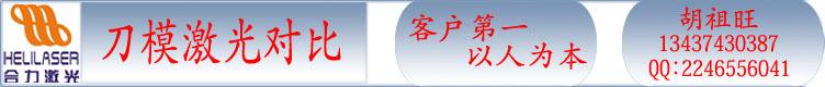 厂家直销毛绒玩具布料专业高精度激光切割裁剪机HL-1680T一年保修 - 4