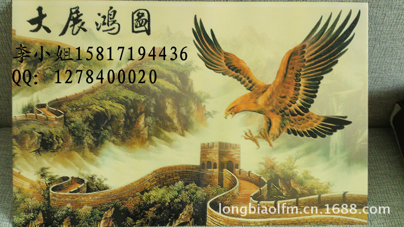 专业技术科技 龙标A0980金属板材印图案机器 - 2