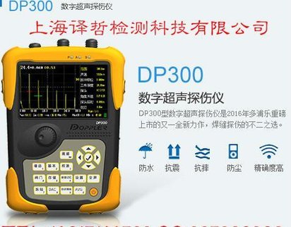 多浦乐DP300数字超声探伤仪