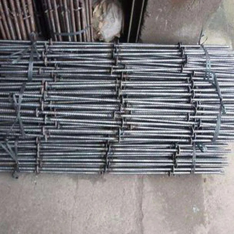 40871849.jpg