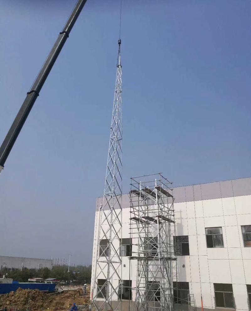 古建筑避雷网安装,仿生树避雷针,GH钢管避雷塔 - 3