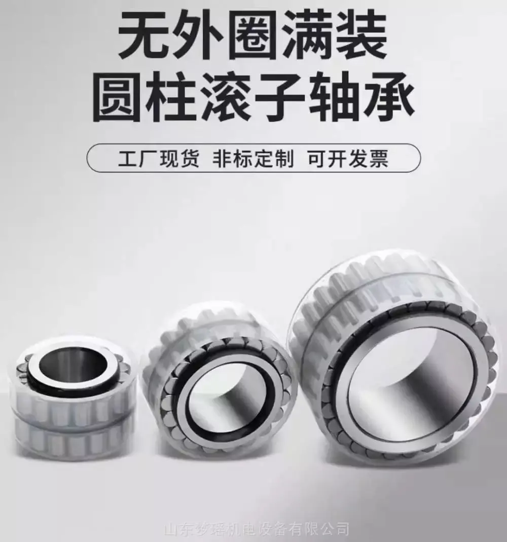 硕璞轴承无外圈轴承RSL182206齿轮箱轴承 - 3