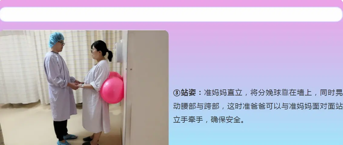 湖南中伦品牌导乐球的使用方法尺寸参数厂家介绍 - 3