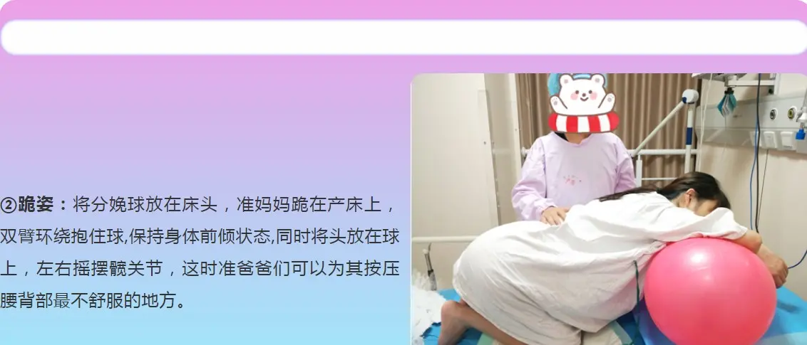 湖南中伦品牌导乐球的使用方法尺寸参数厂家介绍 - 2