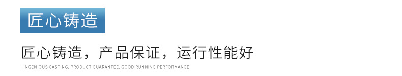 长江CBY3100/3080双联齿轮油泵生产厂家 - 2