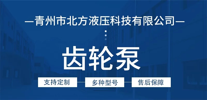 CBGJ系列双联齿轮油泵CBGJ2050/2040 R渔船高压齿轮泵 - 2