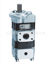 生产销售 高品质CBKL-G/G双联齿轮油泵 叉车齿轮油泵 价格优惠 - 3