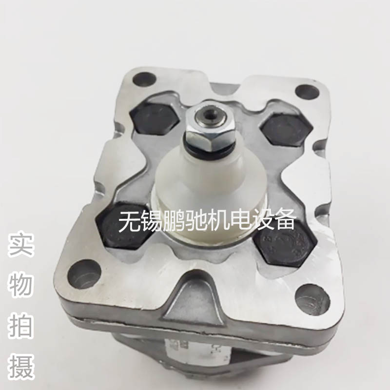 REXPOWER液压齿轮油泵RGP-F304RN-K4 - 4