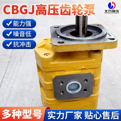CBGJ系列双联齿轮油泵CBGJ2050/2040 R渔船高压齿轮泵