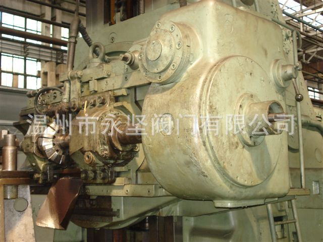 DSC07784