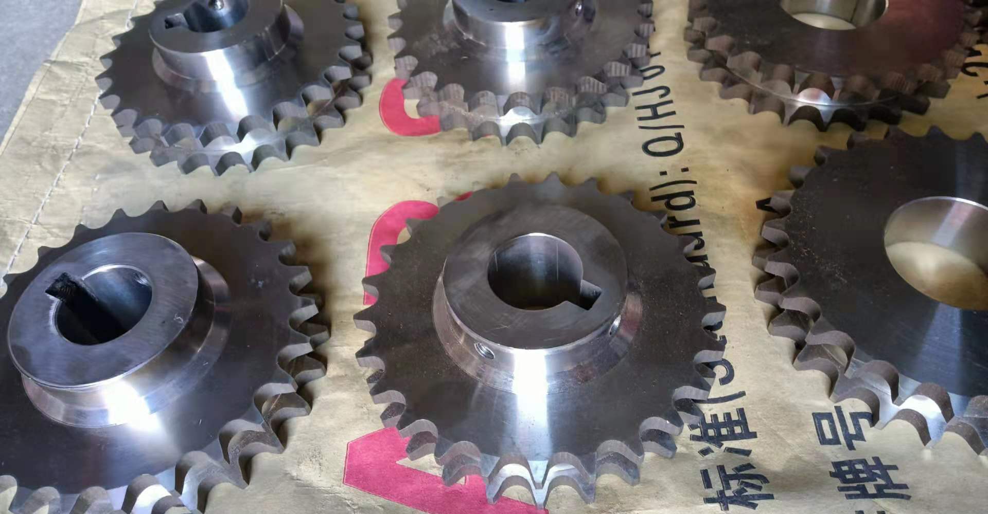 荣达 5分 15.875双排不锈钢链条链轮 - 4