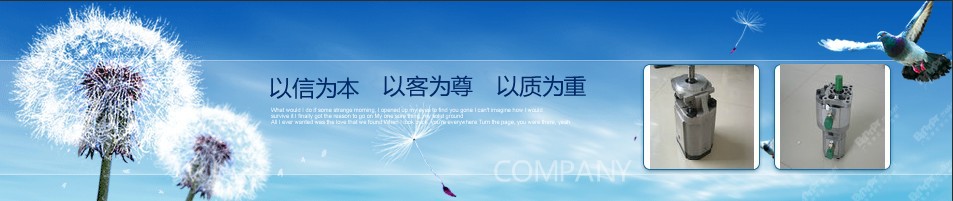 江苏齿轮厂家专业提供精密汽车齿轮加工 小模数齿轮 - 2