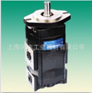 厂家出售 CBTLZT-F/F双联齿轮油泵 长源液压齿轮油泵 - 2