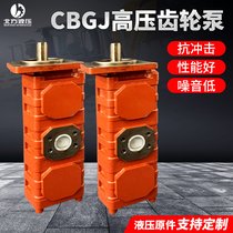 双联齿轮油泵CBGJ2063/2063-B2R-32钻机液压泵