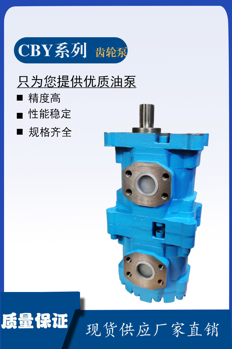 长江CBY2032/2032双联齿轮油泵生产厂家 液压泵大全 - 3