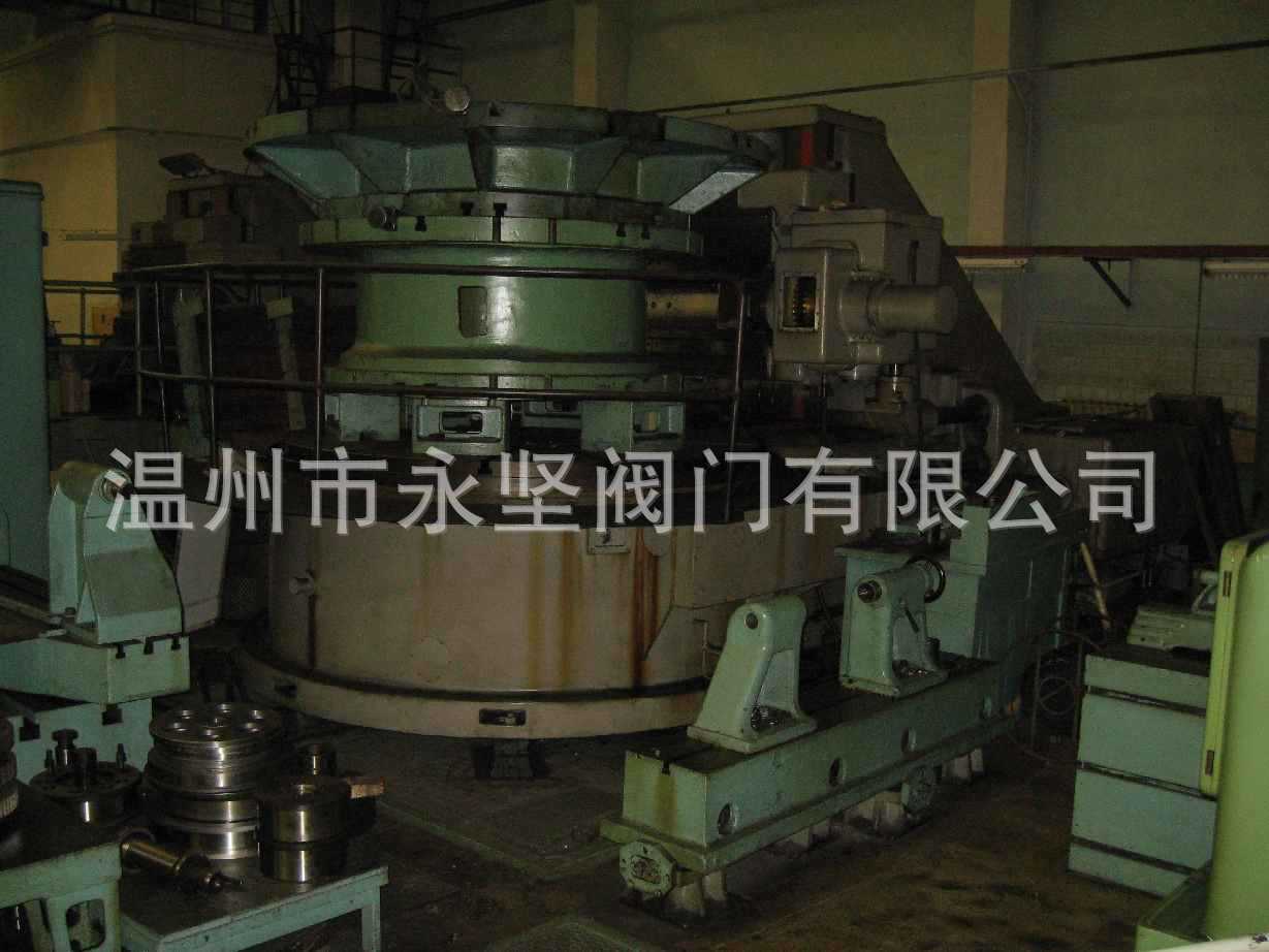 供应蜗轮滚齿机5米 - 3