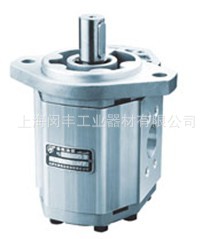 长期供应 CBG2/2双联齿轮油泵 双联齿轮泵油泵 - 3