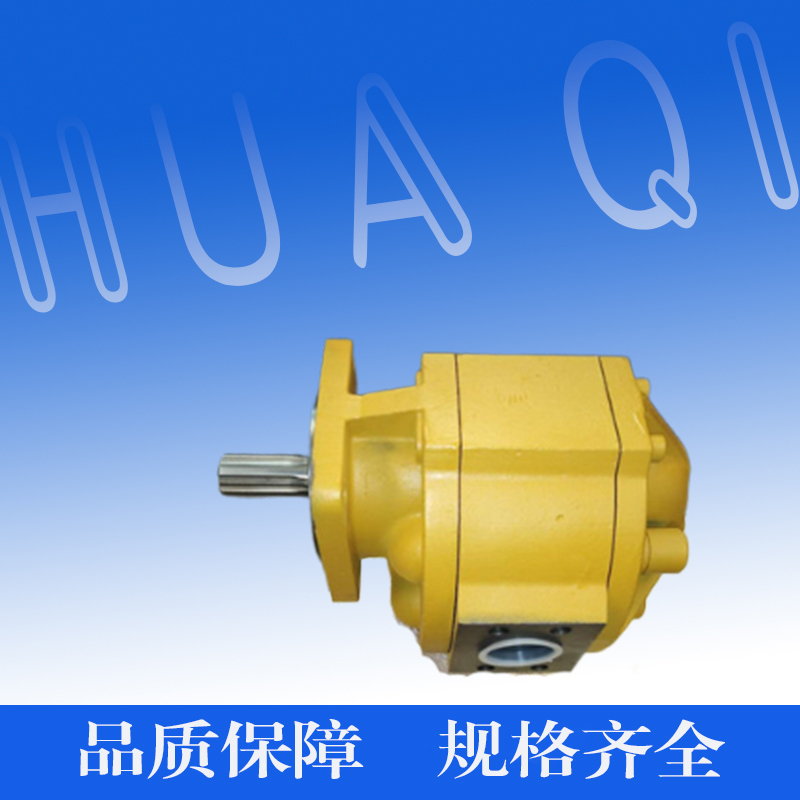 渔船用齿轮马达CMG3200液压齿轮马达 厂家直销 可定做尺寸 - 3