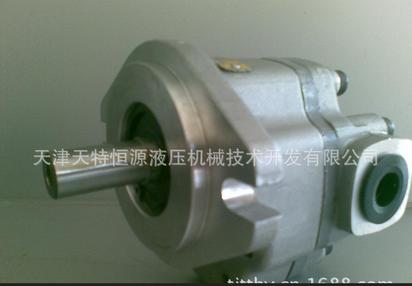 专业经销 GM5-20-1FE13S-20液压齿轮马达