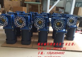 RV030减速机NMRV040蜗轮减速机90W120W2调速电机