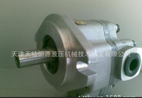 专业经销 GM5-20-1FE13S-20液压齿轮马达
