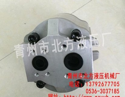 青州吊车液压泵 青州工程机械齿轮油泵