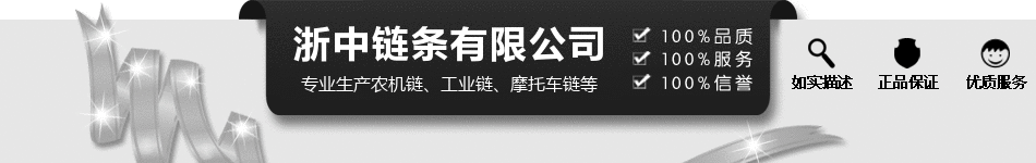 摩托车链条厂家直供 摩托车齿轮40Mn材质链条 - 2