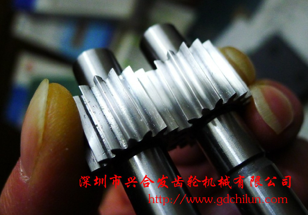 兴合发供应小模数齿轮 精密直齿轮 小齿轮 - 4