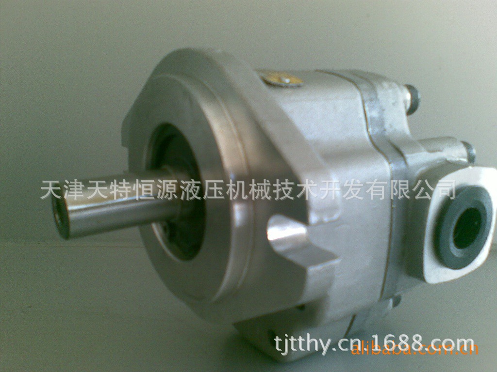 专业经销 GM5-20-1FE13S-20液压齿轮马达 - 3