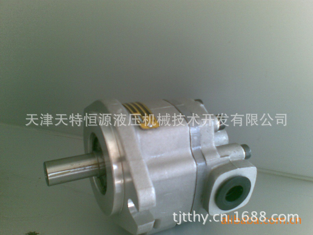 专业经销 GM5-20-1FE13S-20液压齿轮马达 - 4