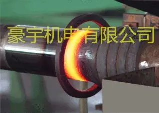 3967198466.jpg