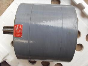 低噪音大流量齿轮油泵（椭圆形）