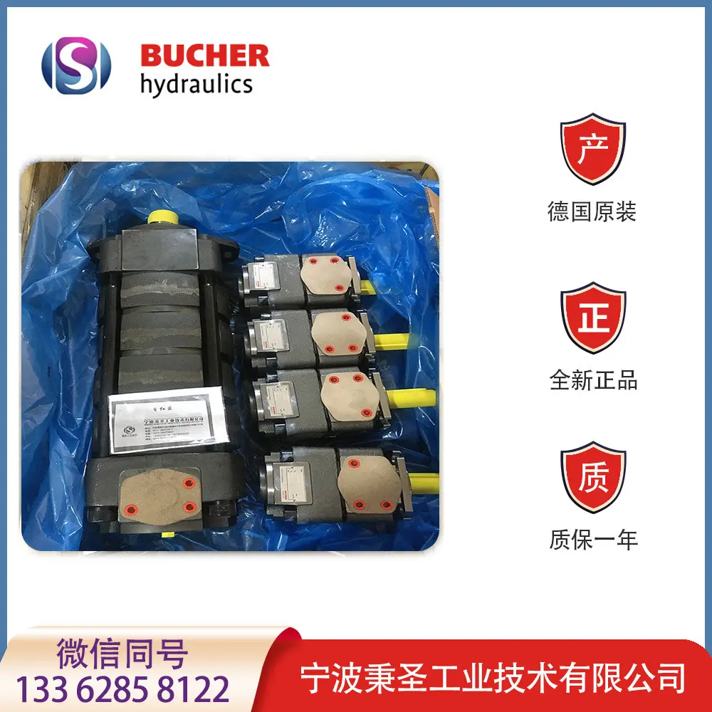 德国BUCHER齿轮泵 QX81-400R301 布赫液压泵 有报关单 - 2