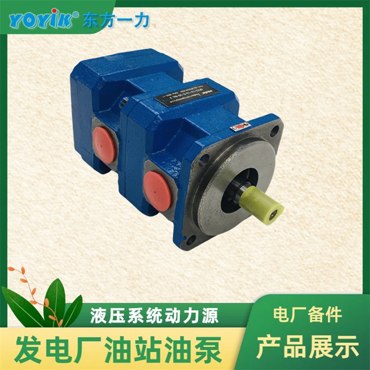 齿轮油泵GPA2-16-E-20-R6.3满足多种液压系统需求一力供应发货1 - 2