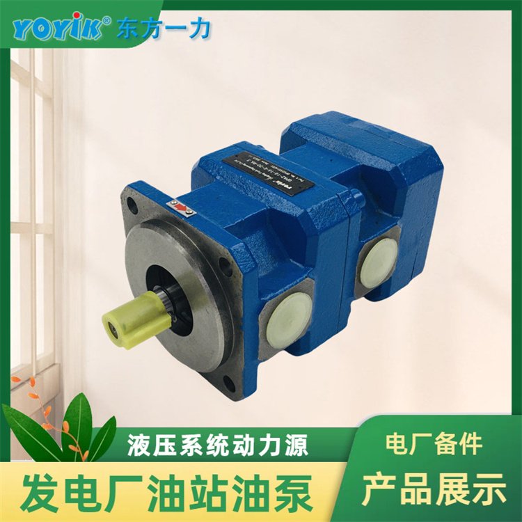 齿轮油泵GPA2-16-E-20-R6.3满足多种液压系统需求一力供应发货1