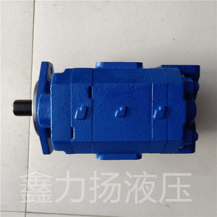 PB76-100-70-L-MSF双联齿轮泵 泊姆克双联齿轮泵 惠龙15米方杆钻机双联泵 鑫力扬液压