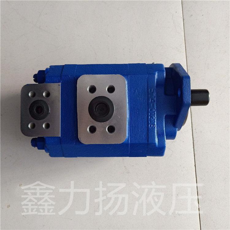 PB76-100-70-L-MSF双联齿轮泵 泊姆克双联齿轮泵 惠龙15米方杆钻机双联泵 鑫力扬液压 - 2