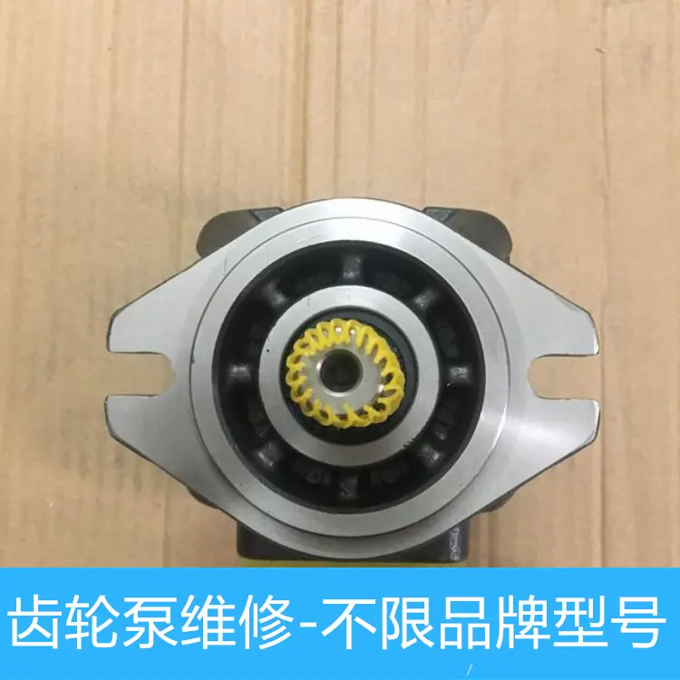 德国ORPU齿轮泵液压齿轮油泵压力不足维修齿轮泵维修教程