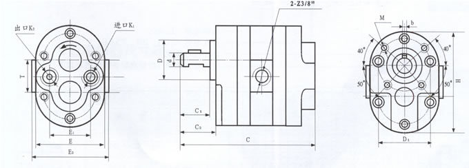 厂家供应DCB-B6/4型低压多联齿轮油泵/双联泵/三联泵 - 3