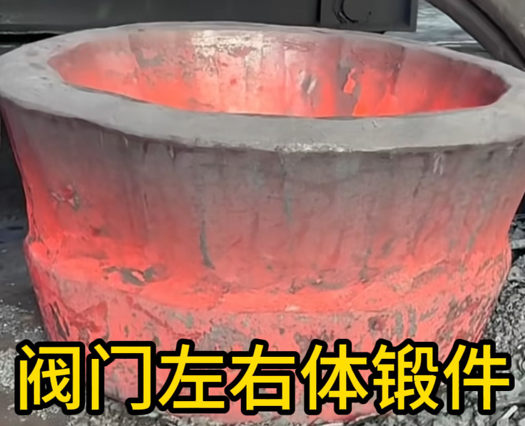 阀门左右体锻件 锻造锻件 厂家定制