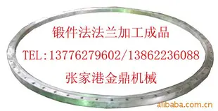 锻件法兰(机加工) 锻件