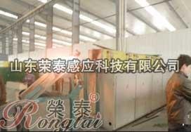 供应荣泰感应加热温锻锻前加热设备