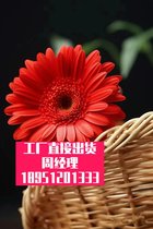 红外纱线织物多大棚保-温高温球化燃气加热炉-筛分硅