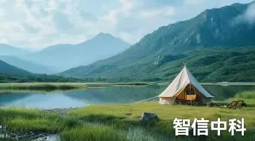 2024-2030年全球与中国锻锤压力机市场发展动态及投资竞争格局分析报告 - 2