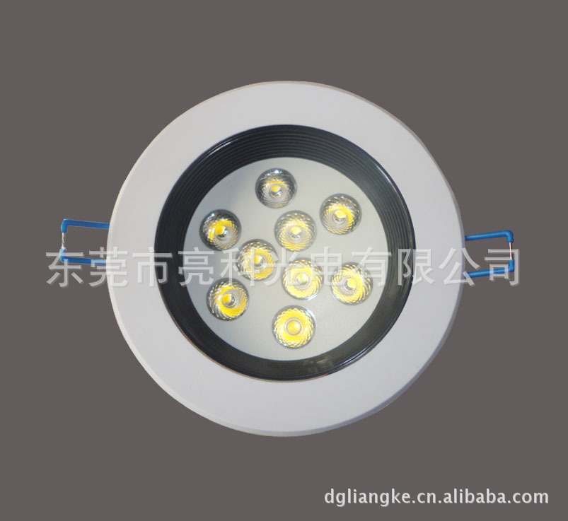东莞亮科专业生产10WL冷锻一体化ED天花灯 各种LED天花灯系列 - 2