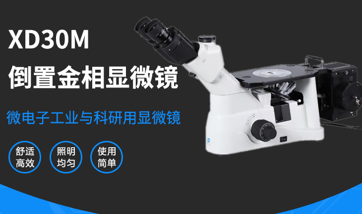 倒置金相显微镜XD30M