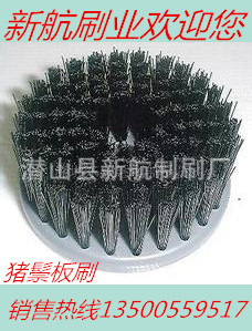 供应佛珠抛光机野猪鬃圆盘刷 文玩核桃毛刷盘 - 3